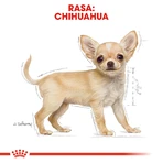 ROYAL CANIN Chiot Chihuahua, nourriture sèche pour chiens juniors, 1.5kg