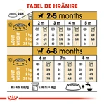 ROYAL CANIN Chiot Chihuahua, nourriture sèche pour chiens juniors, 1.5kg