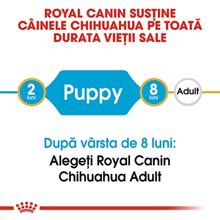 ROYAL CANIN Chiot Chihuahua, nourriture sèche pour chiens juniors, 1.5kg