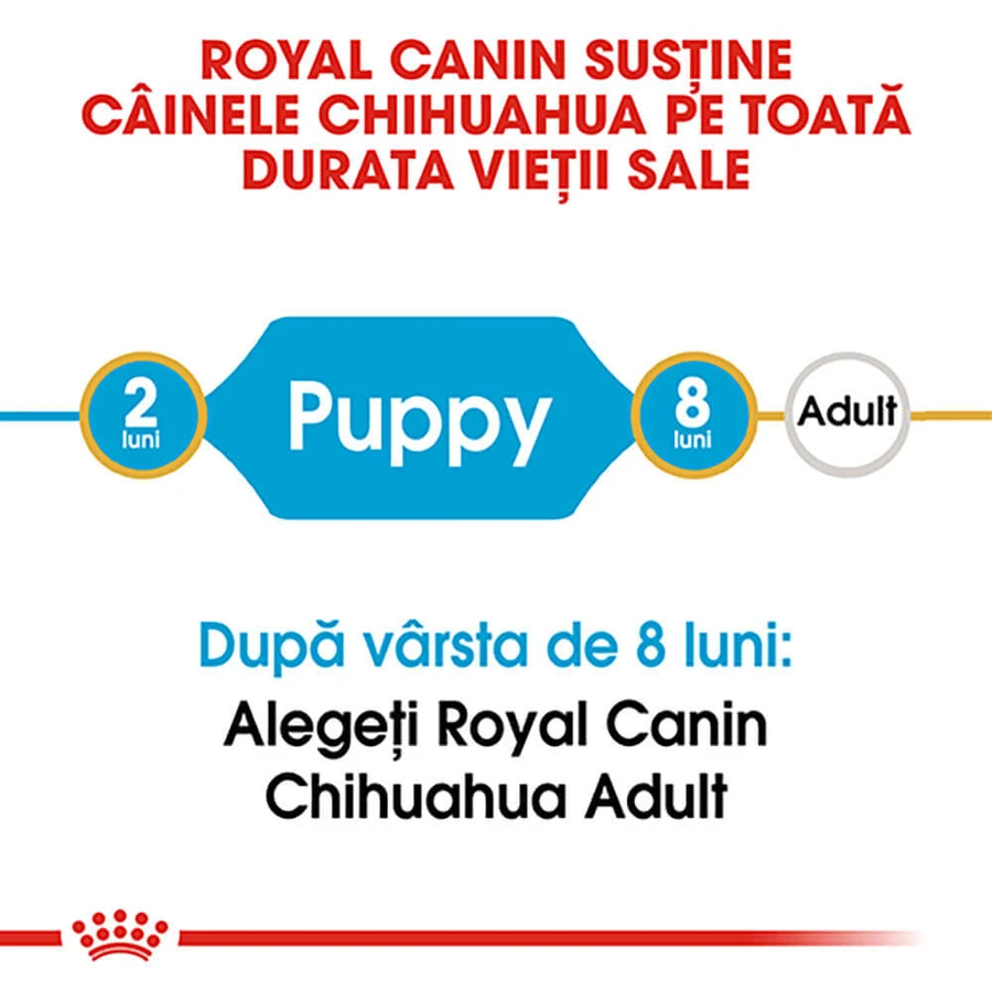 ROYAL CANIN Chiot Chihuahua, nourriture sèche pour chiens juniors, 1.5kg