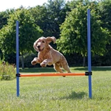 TRIXIE Agility Hurdle, obstacle toy for dogs, plastic, 129cm x 115cm x 3cm, blue with orange