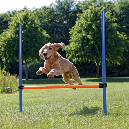 TRIXIE Agility Hindernis, hindernisspeeltje voor honden, plastic, 129cm x 115cm x 3cm, blauw met oranje