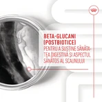 ROYAL CANIN Immunity & Digestion Chews Puppy Supplements, bolsita de recompensas funcionales para perros jóvenes, sistema inmunitario, sistema digestivo, 100g