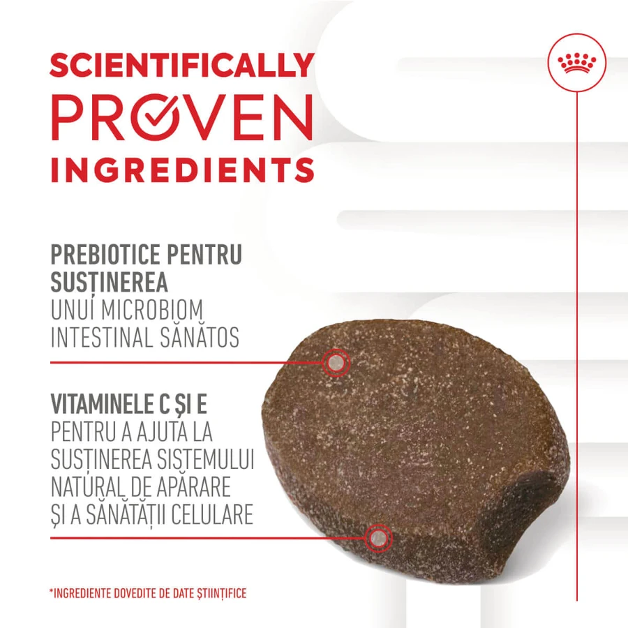 ROYAL CANIN Immunity & Digestion Chews Puppy Supplements, bolsita de recompensas funcionales para perros jóvenes, sistema inmunitario, sistema digestivo, 100g