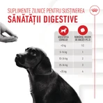 ROYAL CANIN Immunity & Digestion Chews Puppy Supplements, bolsita de recompensas funcionales para perros jóvenes, sistema inmunitario, sistema digestivo, 100g