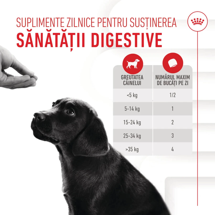 ROYAL CANIN Immunity & Digestion Chews Puppy Supplements, bolsita de recompensas funcionales para perros jóvenes, sistema inmunitario, sistema digestivo, 100g