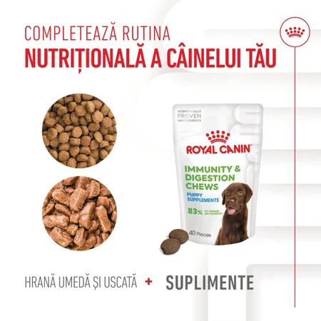 ROYAL CANIN Immunity & Digestion Chews Puppy Supplements, bolsita de recompensas funcionales para perros jóvenes, sistema inmunitario, sistema digestivo, 100g