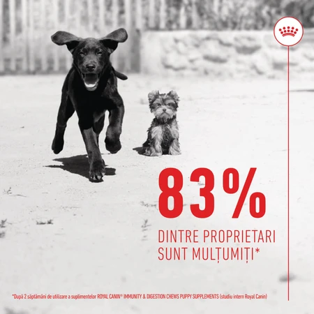ROYAL CANIN Immunity & Digestion Chews Puppy Supplements, bolsita de recompensas funcionales para perros jóvenes, sistema inmunitario, sistema digestivo, 100g