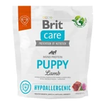 BRIT Care Hypoallergenic Hypoallergenic Puppy, XS-XL, Miel, alimento seco monoproteico para perros jóvenes, sistema inmunitario y alergias, 1kg