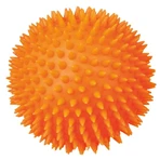TRIXIE, speelbal met stekels honden, vinyl, 10cm, multicolor
