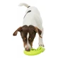 Trixie, juguete de recompensa serpiente para perro, con sonido, caucho termoplástico, 18cm, multicolor