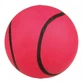 Trixie, drijvende bal speelgoed honden, 2 modellen, rubber, 5.5cm, veelkleurig