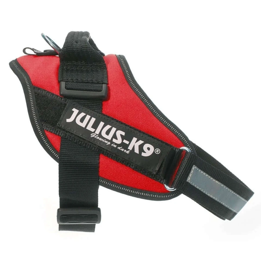 Schinken Julius K9, IDC POWER, Größe 2, 28-40 kg, Rot