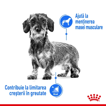 ROYAL CANIN Mini Light Weight Care Adult, alimento seco para perros, pérdida de peso, 3kg