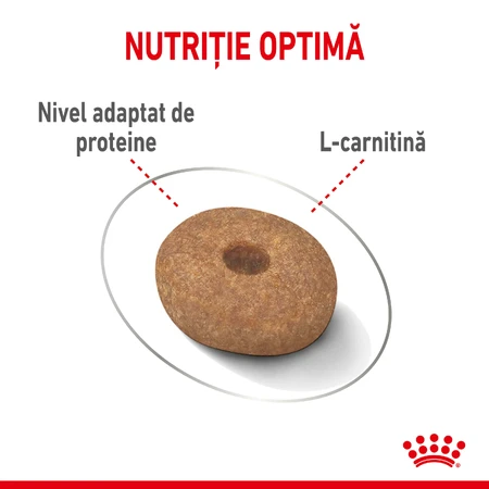 ROYAL CANIN Mini Light Weight Care Adult, alimento seco para perros, pérdida de peso, 3kg