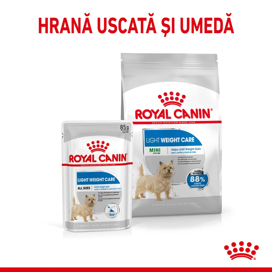 ROYAL CANIN Mini Light Weight Care Adult, alimento seco para perros, pérdida de peso, 3kg