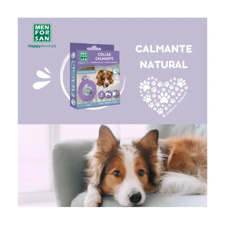 MENFORSAN Collier calmant 57cm, XS-L, complément du système nerveux et calmant pour chiens, boîte, 1pc collier