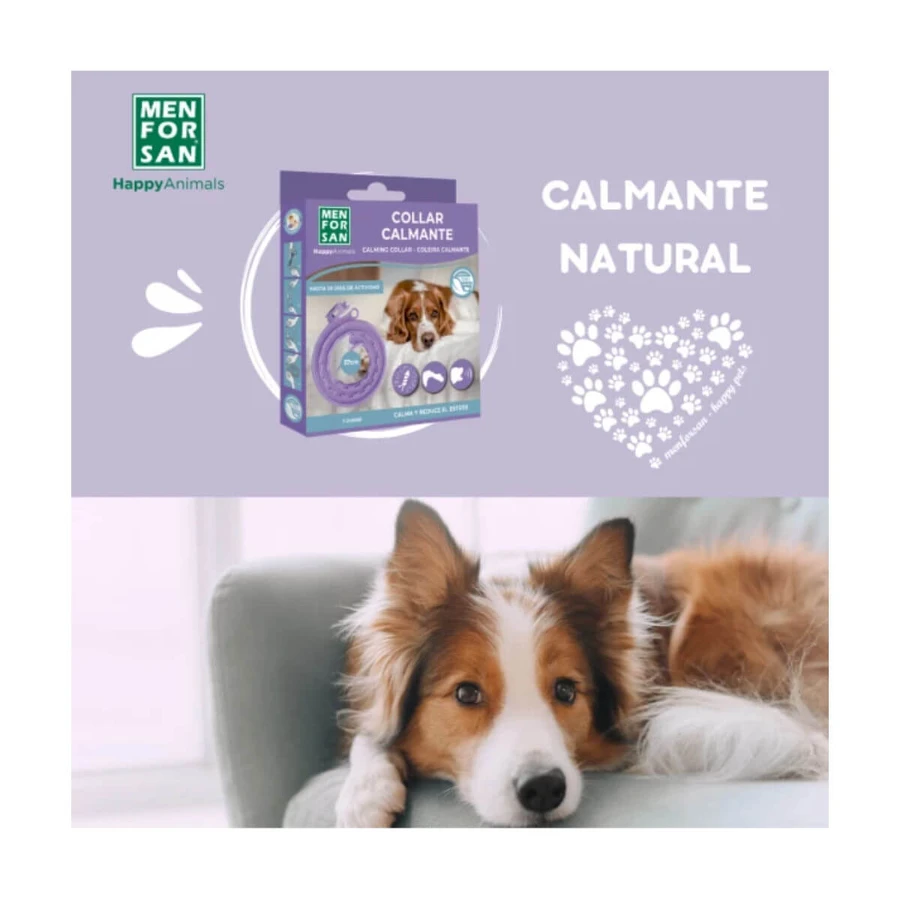 MENFORSAN Collier calmant 57cm, XS-L, complément du système nerveux et calmant pour chiens, boîte, 1pc collier