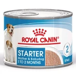 ROYAL CANIN Starter Mousse, Mama und Welpe, feuchtes Hundefutter in Dosen, (Mousse), 195g