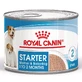 ROYAL CANIN Starter Mousse, mama en puppy, vochtig hondenvoer in blik, (mousse), 195g