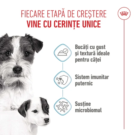 ROYAL CANIN Starter Mousse, Mama und Welpe, feuchtes Hundefutter in Dosen, (Mousse), 195g