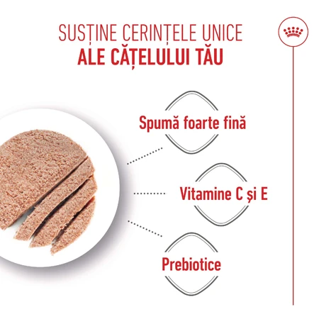 ROYAL CANIN Starter Mousse, Mama und Welpe, feuchtes Hundefutter in Dosen, (Mousse), 195g