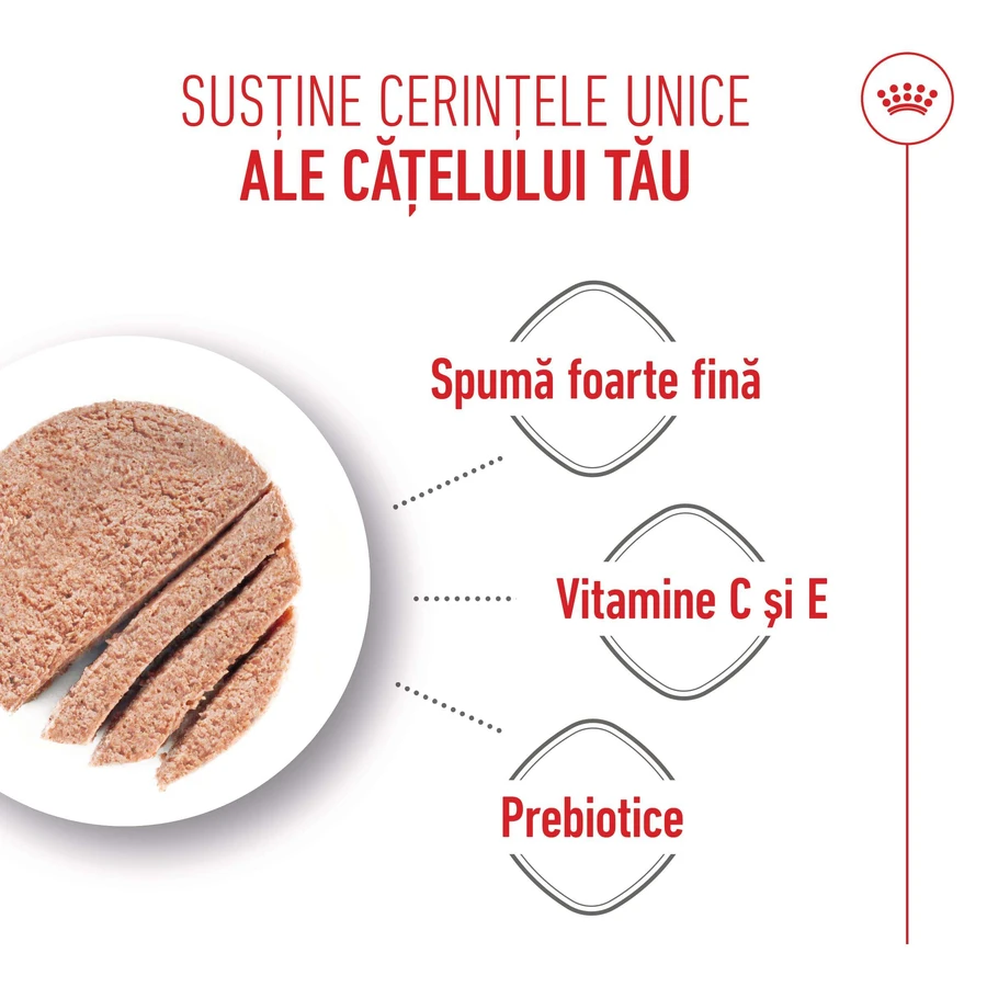 ROYAL CANIN Starter Mousse, Mama und Welpe, feuchtes Hundefutter in Dosen, (Mousse), 195g
