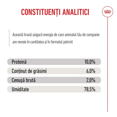 ROYAL CANIN Starter Mousse, Mama und Welpe, feuchtes Hundefutter in Dosen, (Mousse), 195g