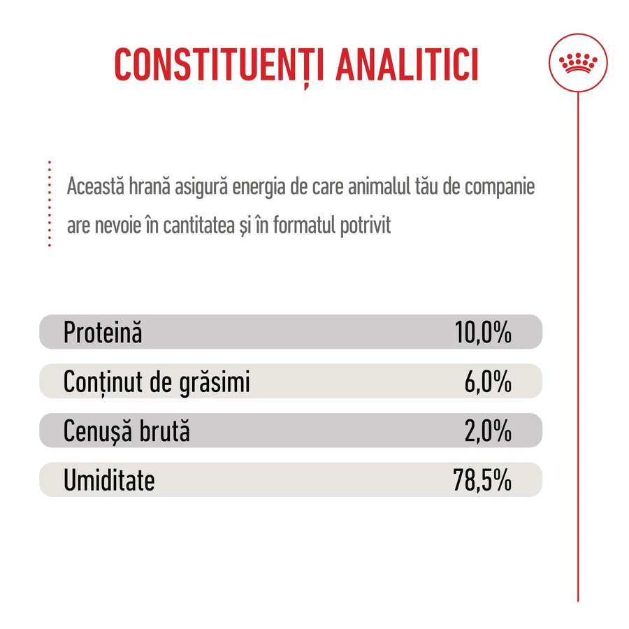 ROYAL CANIN Starter Mousse, Mama und Welpe, feuchtes Hundefutter in Dosen, (Mousse), 195g