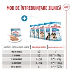 ROYAL CANIN Starter Mousse, Mama und Welpe, feuchtes Hundefutter in Dosen, (Mousse), 195g