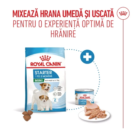 ROYAL CANIN Starter Mousse, Mama und Welpe, feuchtes Hundefutter in Dosen, (Mousse), 195g
