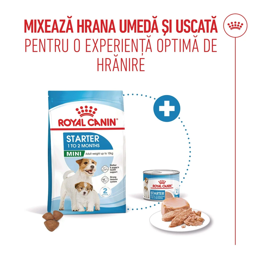 ROYAL CANIN Starter Mousse, Mama und Welpe, feuchtes Hundefutter in Dosen, (Mousse), 195g