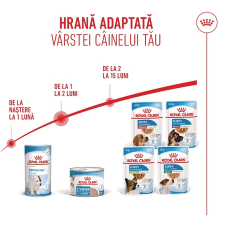 ROYAL CANIN Starter Mousse, Mama und Welpe, feuchtes Hundefutter in Dosen, (Mousse), 195g