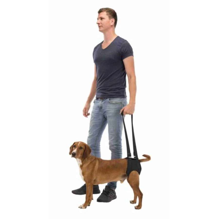 TRIXIE Aide à la marche, L-XL, harnais de rééducation pour chiens, néoprène, ⌀ 75 - 85cm