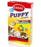 Sanal Cachorro 40