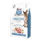 BRIT Care Large Cats Power & Vitality L-XL, Pato y Pollo, pienso sin cereales, 2kg