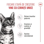 ROYAL CANIN Kitten Sterilized, alimento seco para gatos esterilizados junior, 2kg