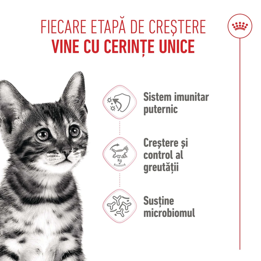 ROYAL CANIN Kitten Sterilized, alimento seco para gatos esterilizados junior, 2kg
