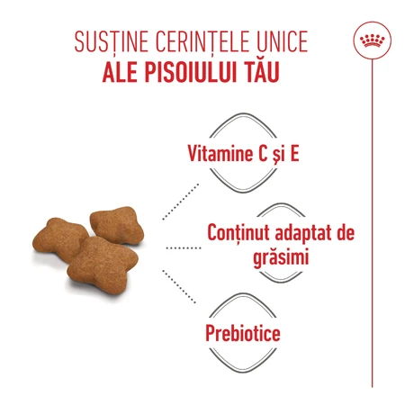 ROYAL CANIN Kitten Sterilized, alimento seco para gatos esterilizados junior, 2kg