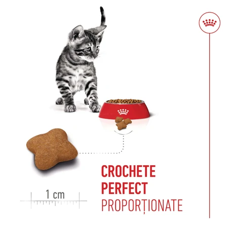 ROYAL CANIN Kitten Sterilized, alimento seco para gatos esterilizados junior, 2kg