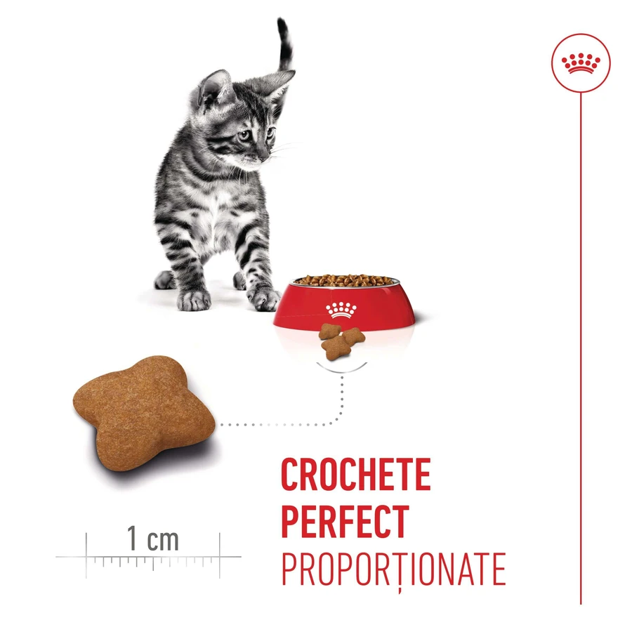 ROYAL CANIN Kitten Sterilized, alimento seco para gatos esterilizados junior, 2kg