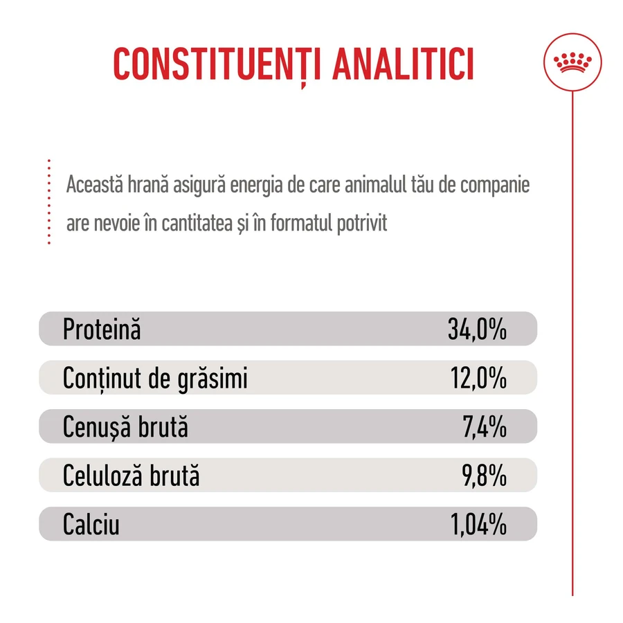 ROYAL CANIN Kitten Sterilized, alimento seco para gatos esterilizados junior, 2kg
