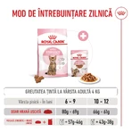 ROYAL CANIN Kitten Sterilized, alimento seco para gatos esterilizados junior, 2kg