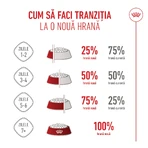 ROYAL CANIN Kitten Sterilized, alimento seco para gatos esterilizados junior, 2kg