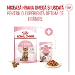 ROYAL CANIN Kitten Sterilized, alimento seco para gatos esterilizados junior, 2kg