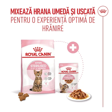 ROYAL CANIN Kitten Sterilized, alimento seco para gatos esterilizados junior, 2kg