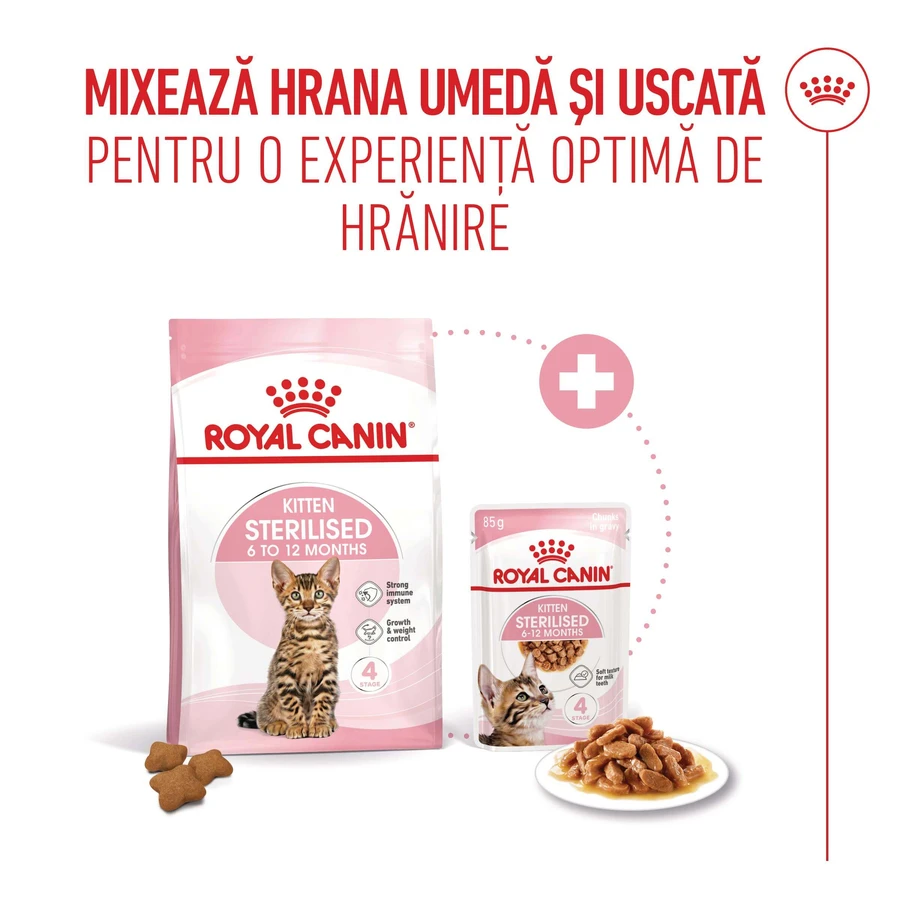 ROYAL CANIN Kitten Sterilized, alimento seco para gatos esterilizados junior, 2kg