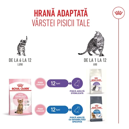ROYAL CANIN Kitten Sterilized, alimento seco para gatos esterilizados junior, 2kg