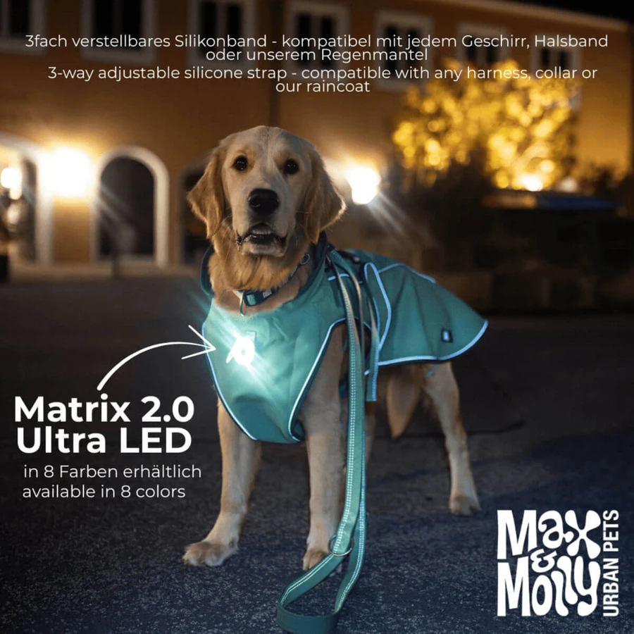 MAX & MOLLY Matrix Ultra Led, accessorio di illuminazione per cani, nero