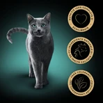 SHEBA Select Slices, Kip en Rund, zakje nat kattenvoer, (in saus), 85g